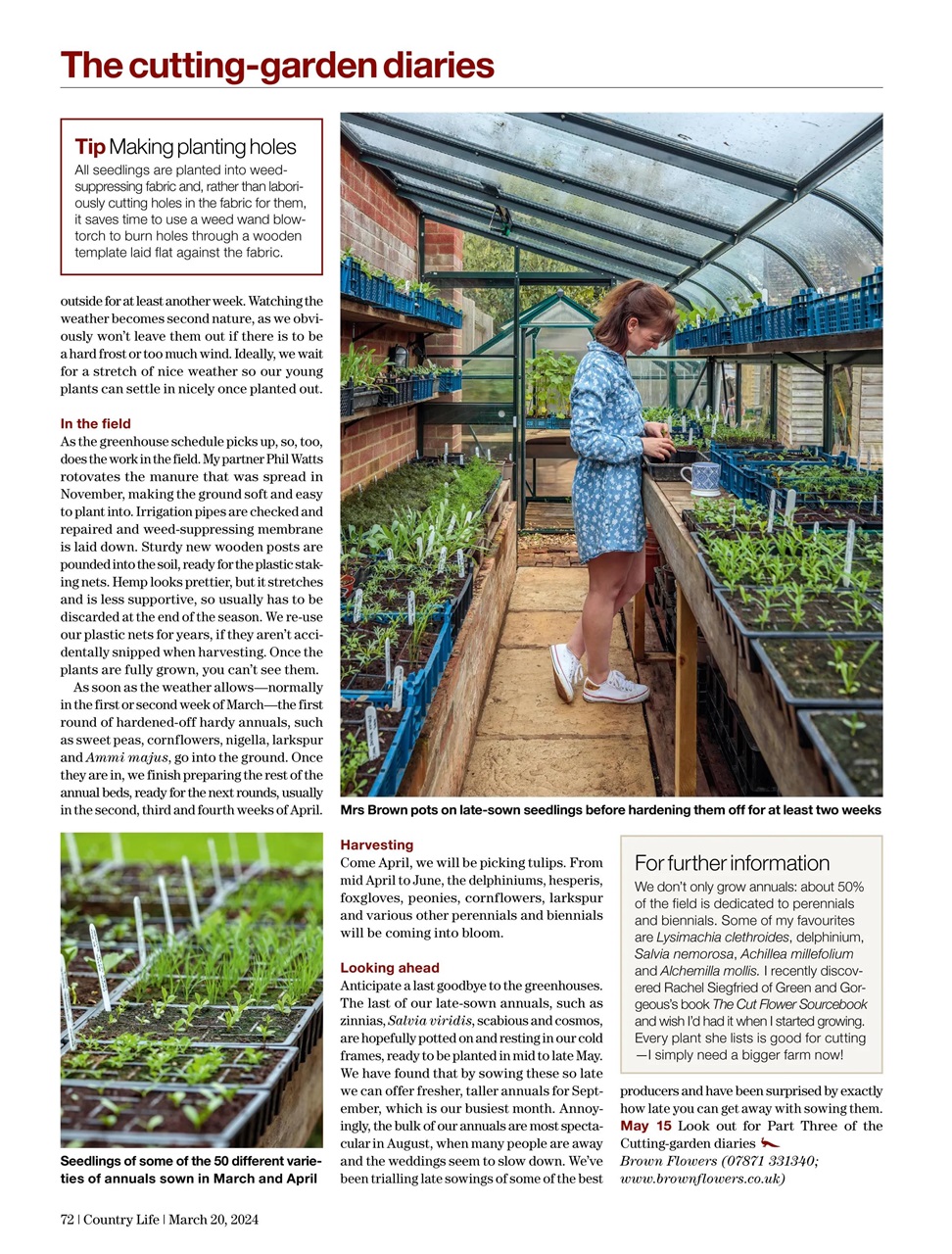 Country Life Preview Pages