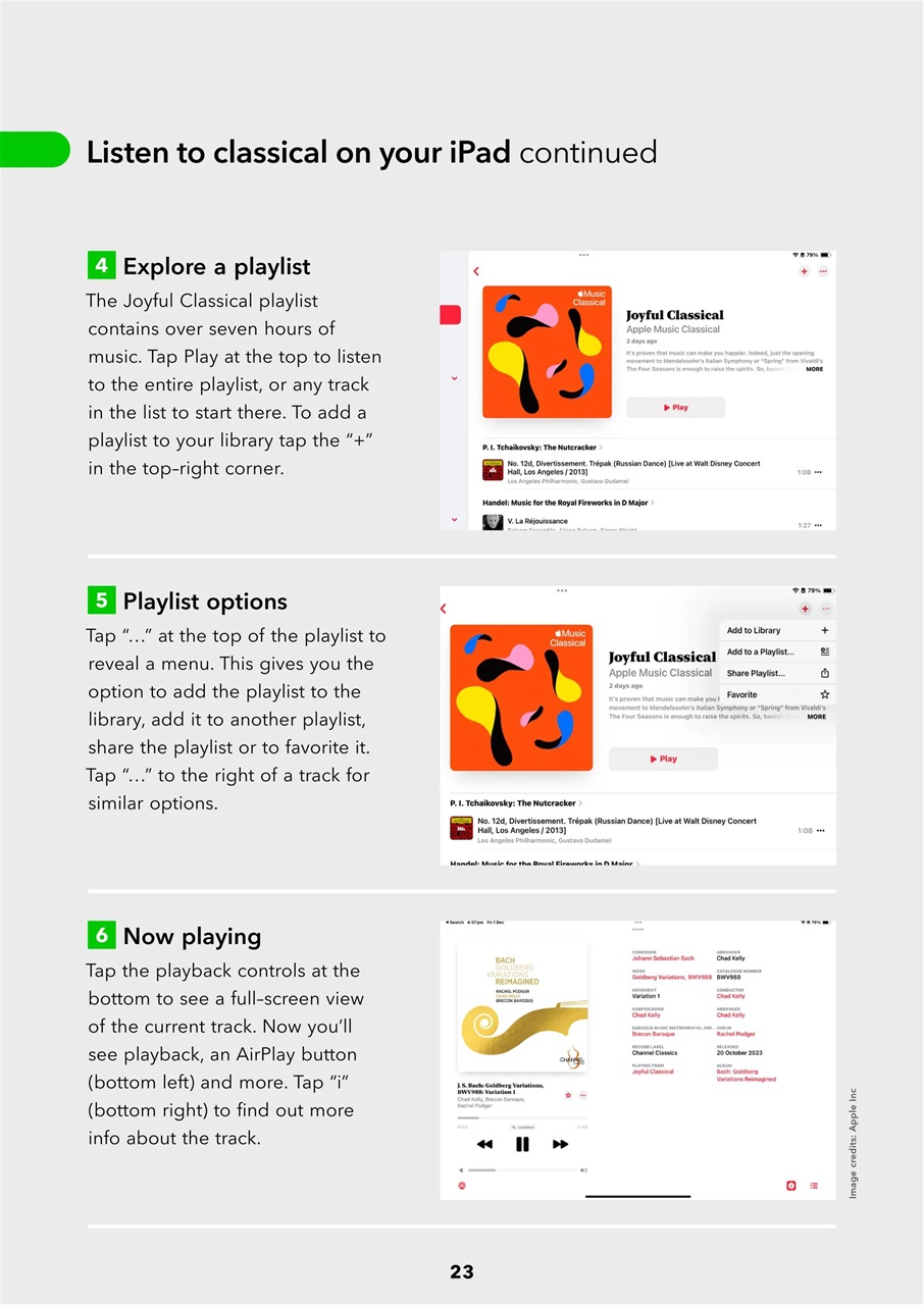 iPad User Preview Pages