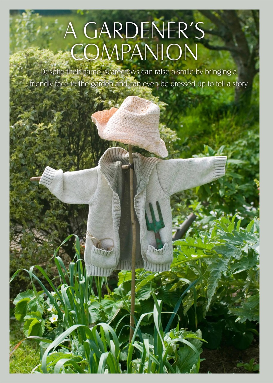 LandScape Preview Pages