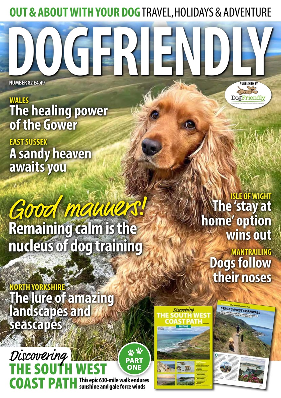 Dog Friendly Preview Pages