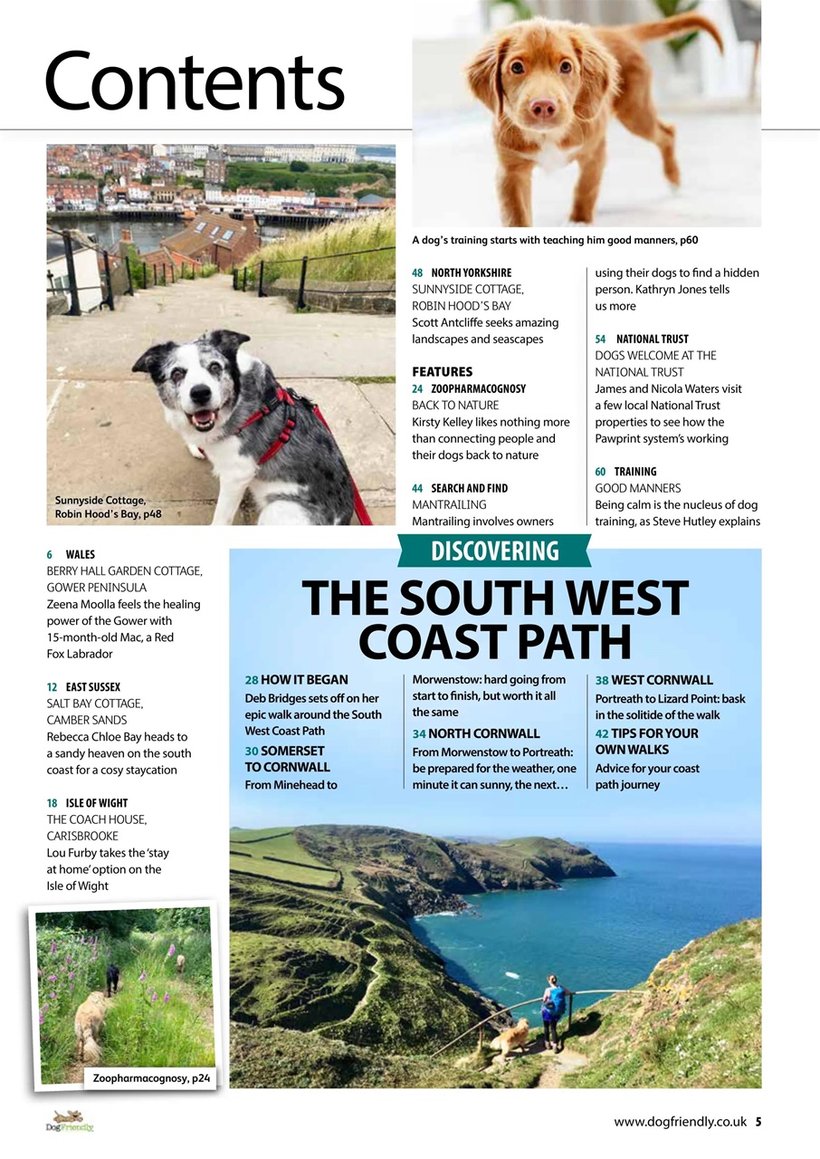 Dog Friendly Preview Pages