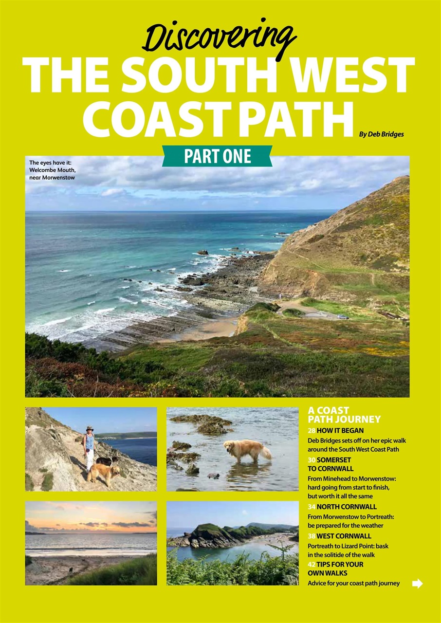 Dog Friendly Preview Pages