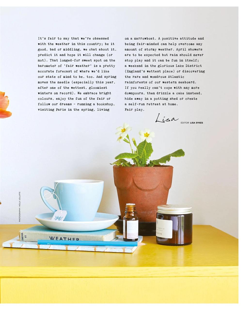 The Simple Things Preview Pages