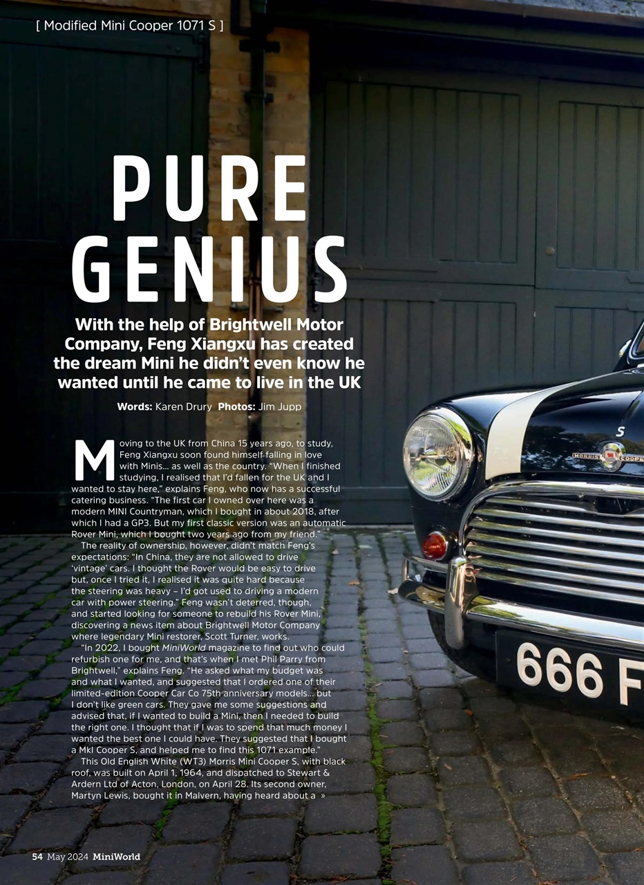 Mini World Preview Pages