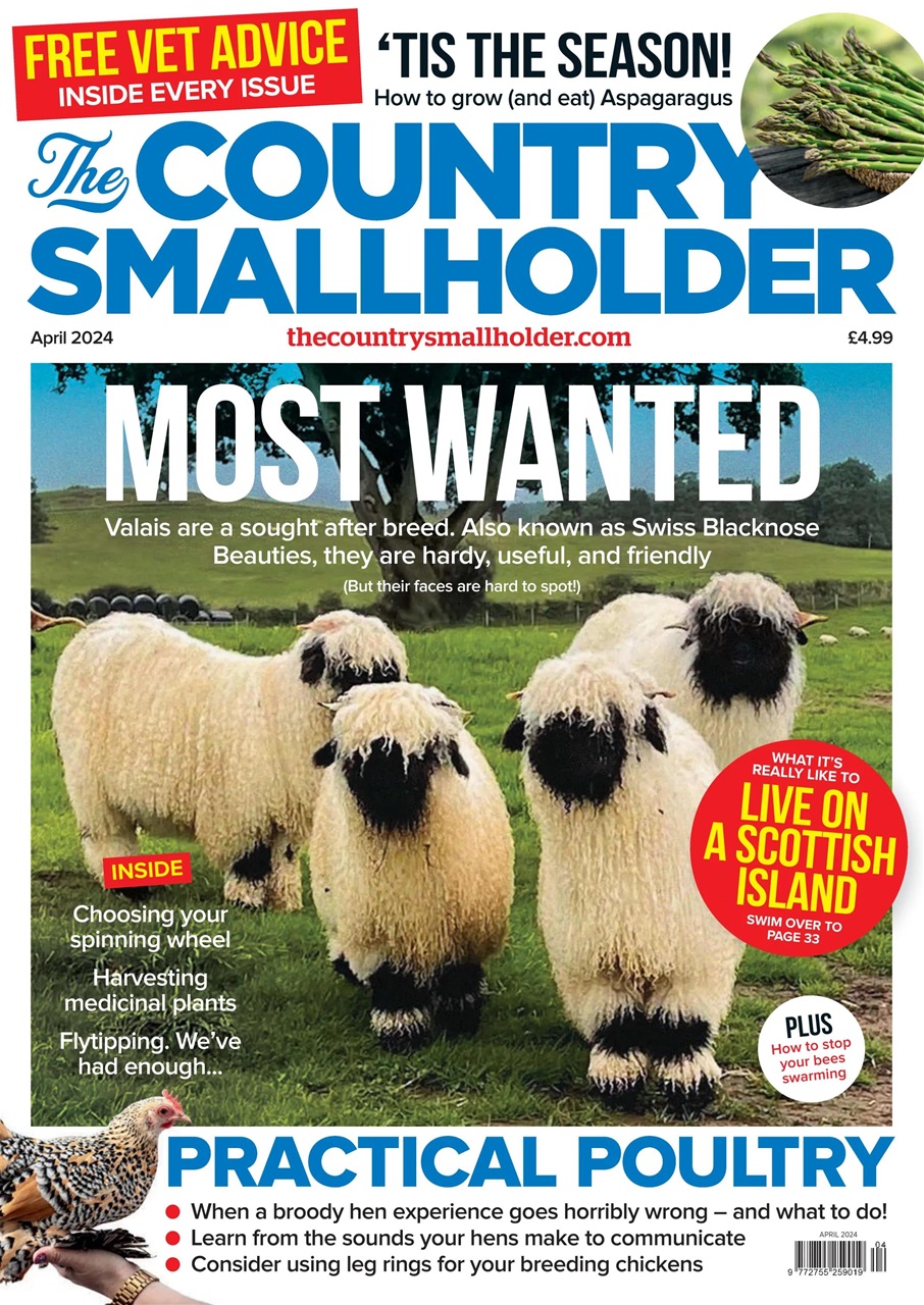 The Country Smallholder Preview Pages