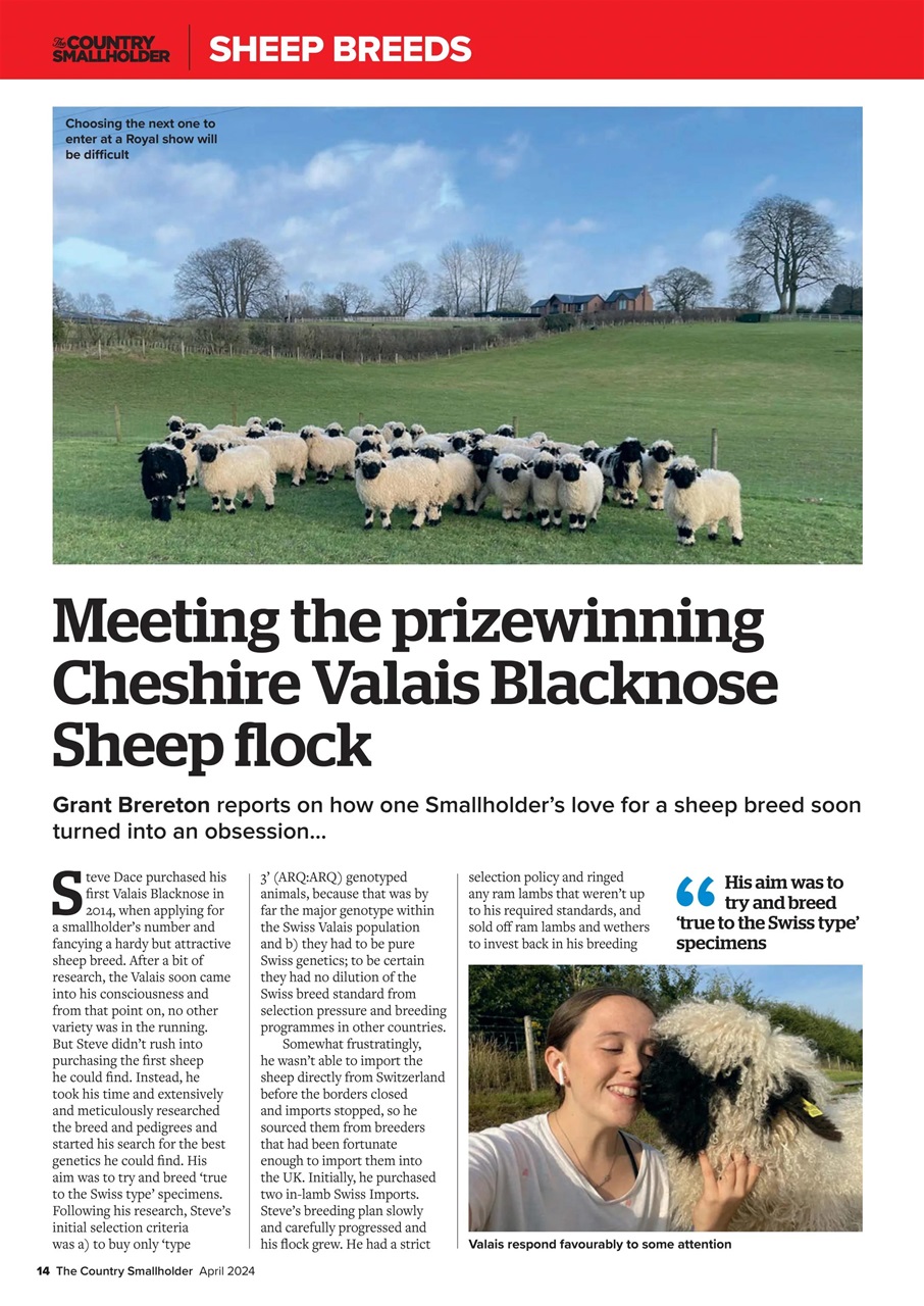 The Country Smallholder Preview Pages