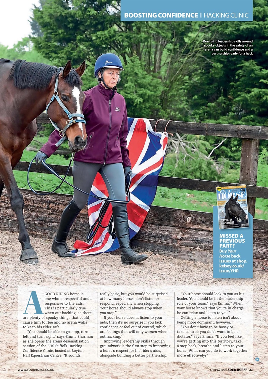 Your Horse Preview Pages