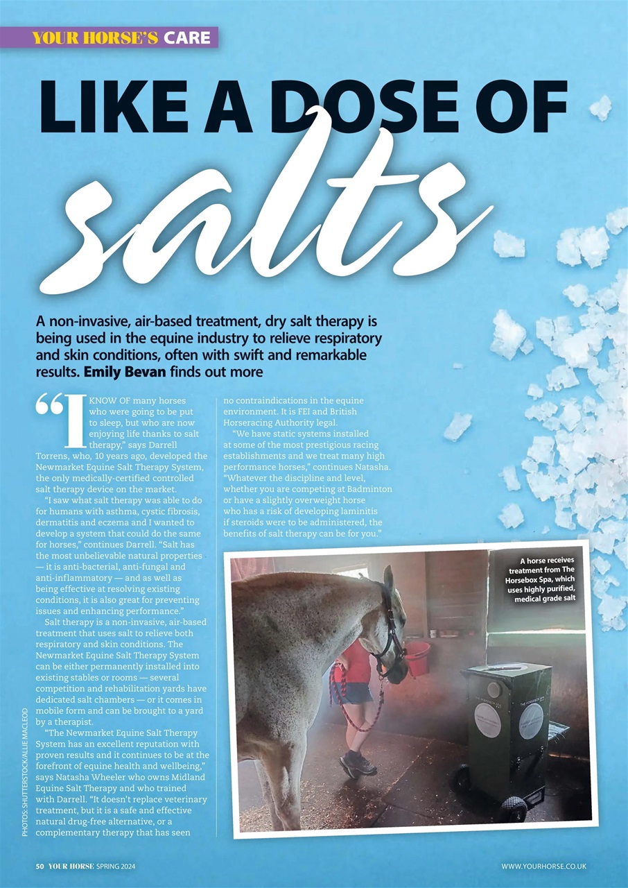 Your Horse Preview Pages