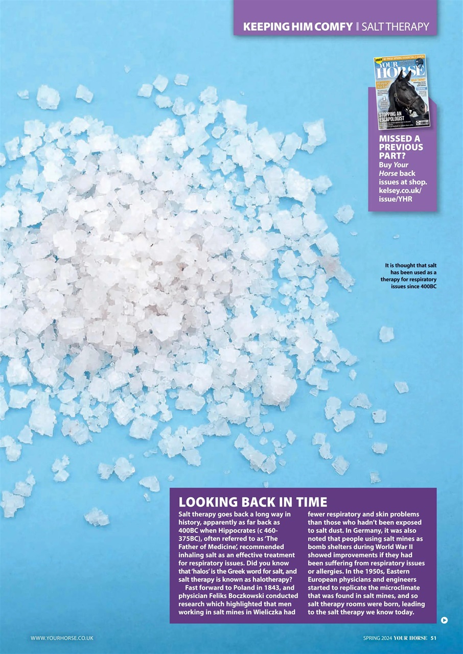 Your Horse Preview Pages