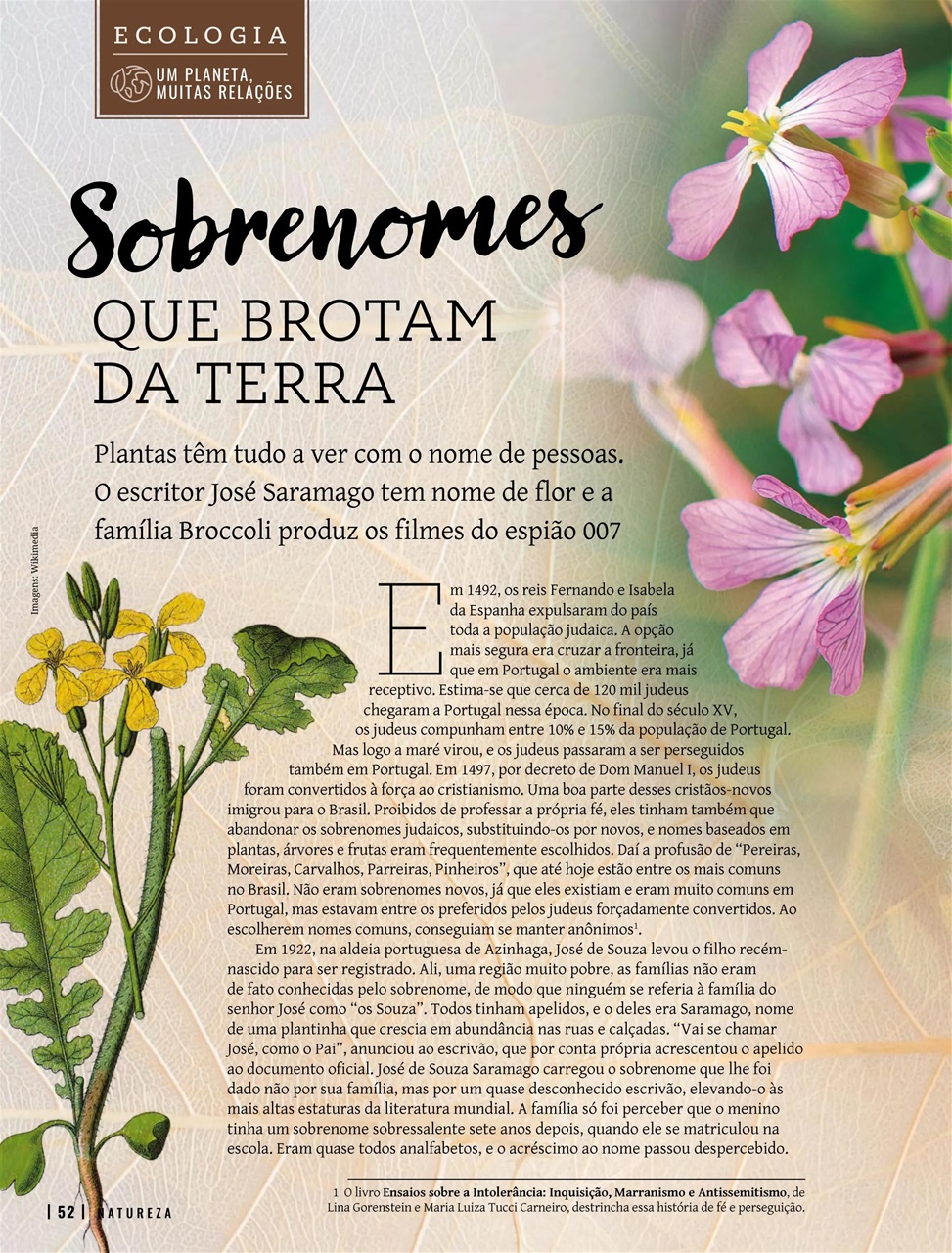 Natureza Preview Pages