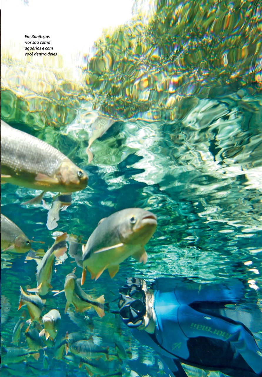 Férias no Brasil e Férias EUA Preview Pages