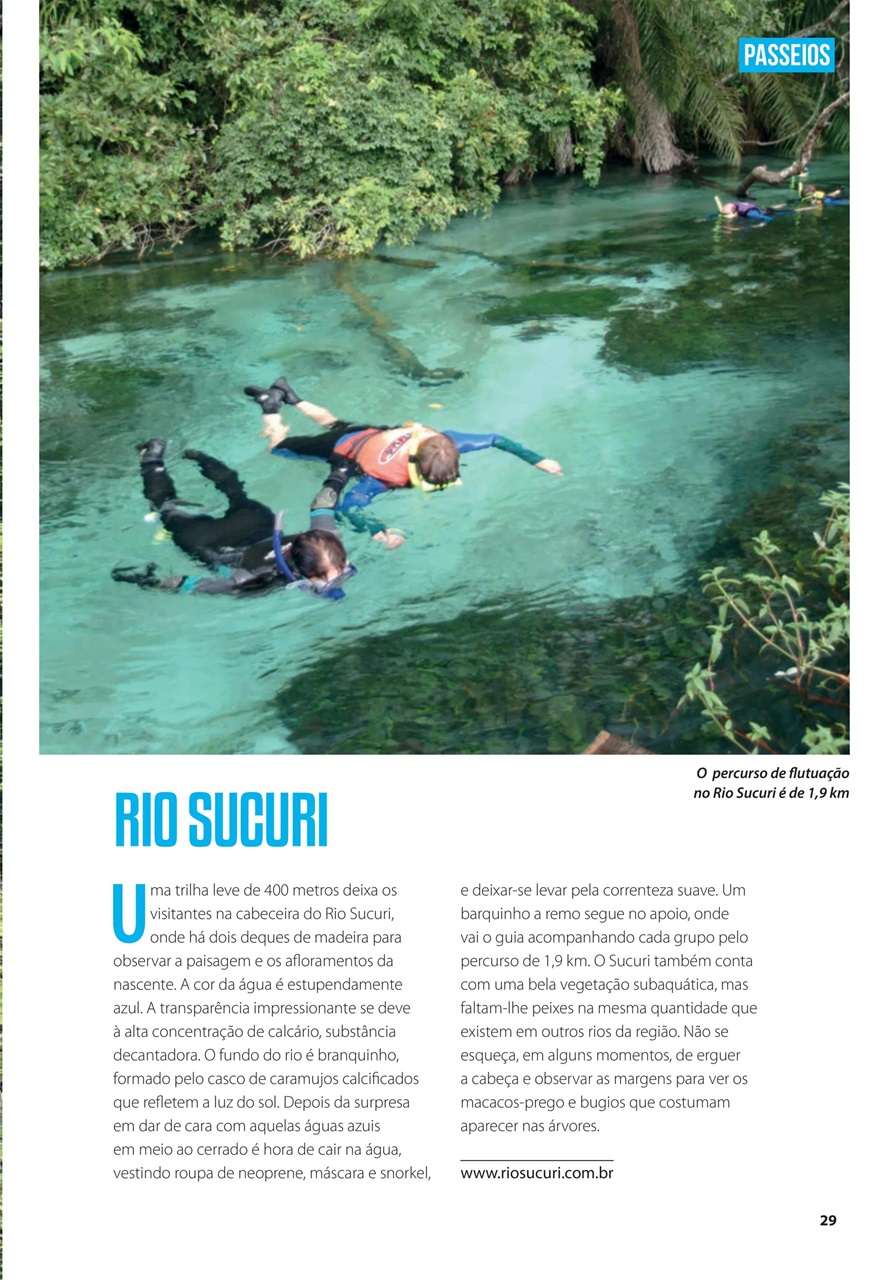 Férias no Brasil e Férias EUA Preview Pages