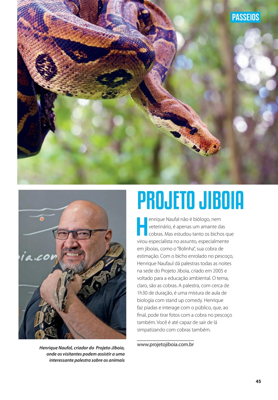 Férias no Brasil e Férias EUA Preview Pages