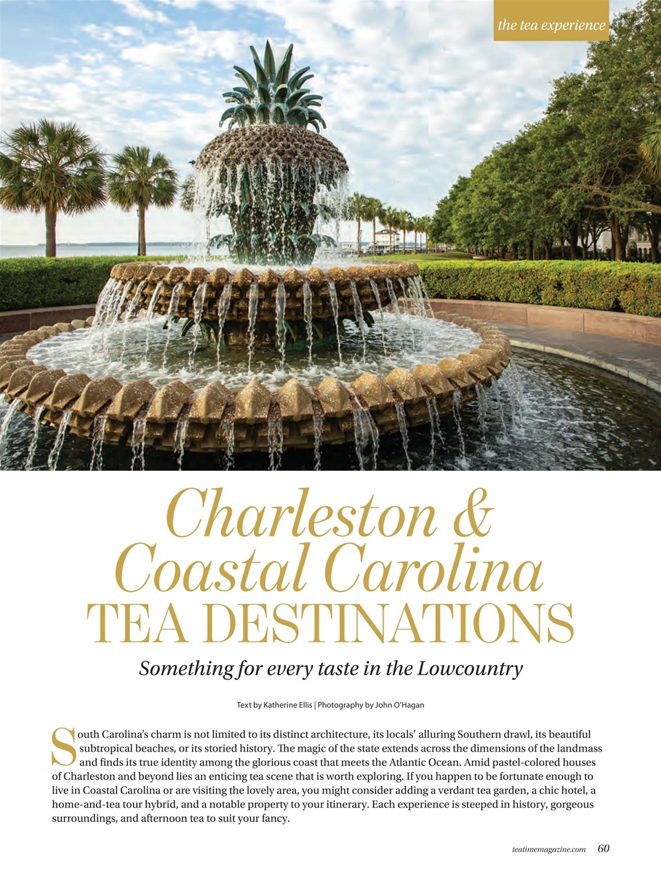 TeaTime Preview Pages