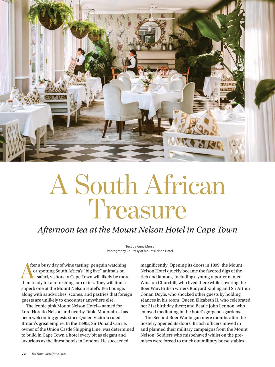 TeaTime Preview Pages