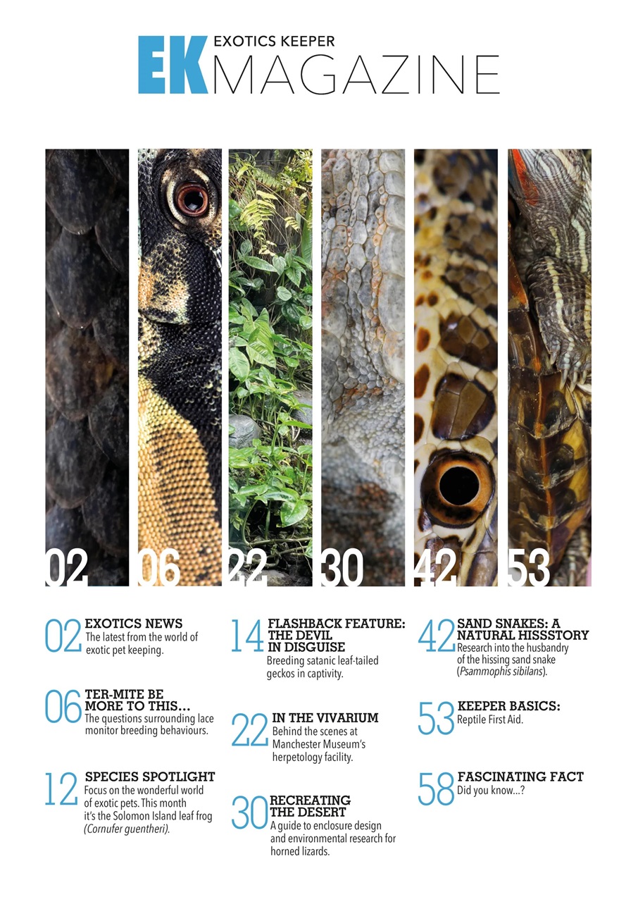 Exotics Keeper Preview Pages