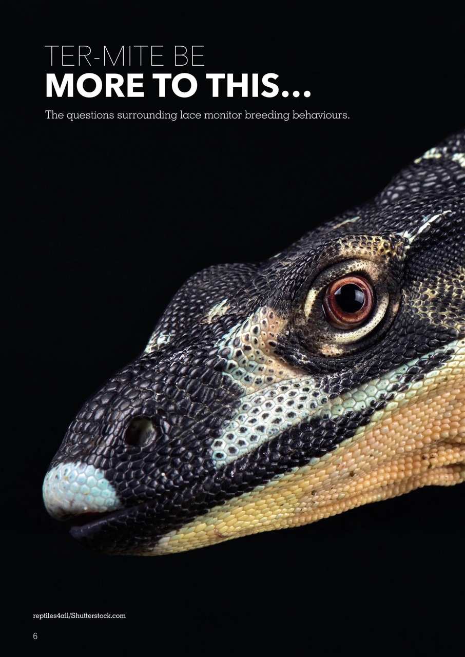 Exotics Keeper Preview Pages