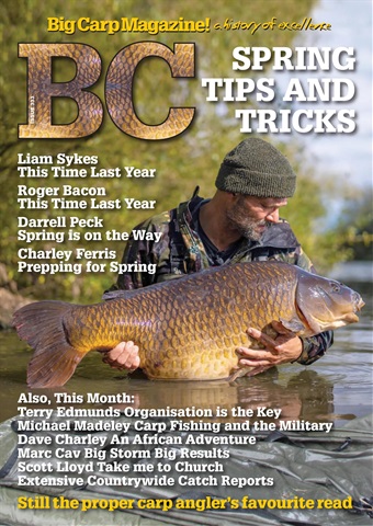 Big Carp 333 issue Big Carp 333