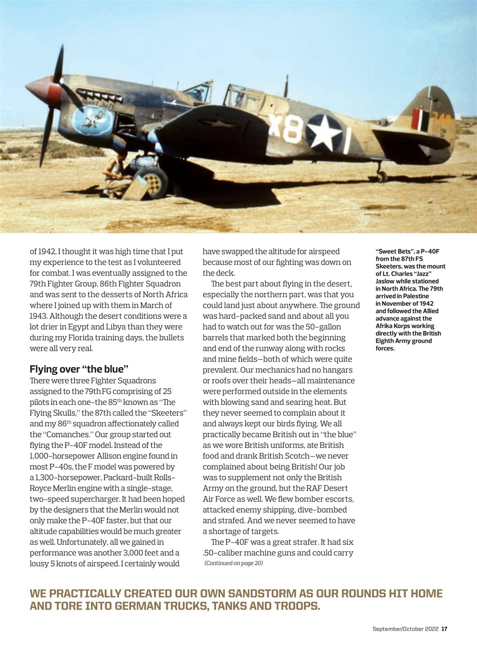 Flight Journal Preview Pages