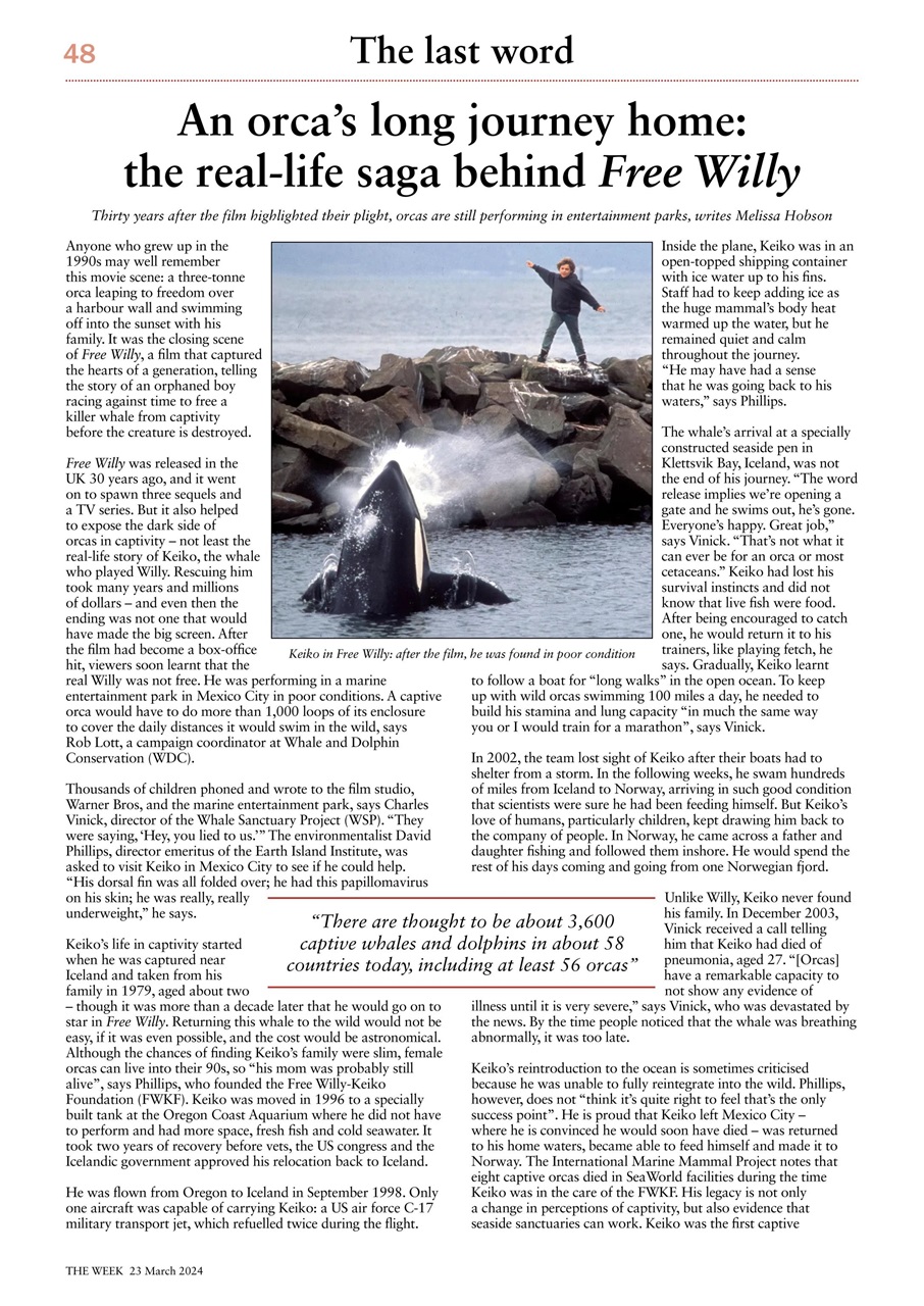 The Week Preview Pages