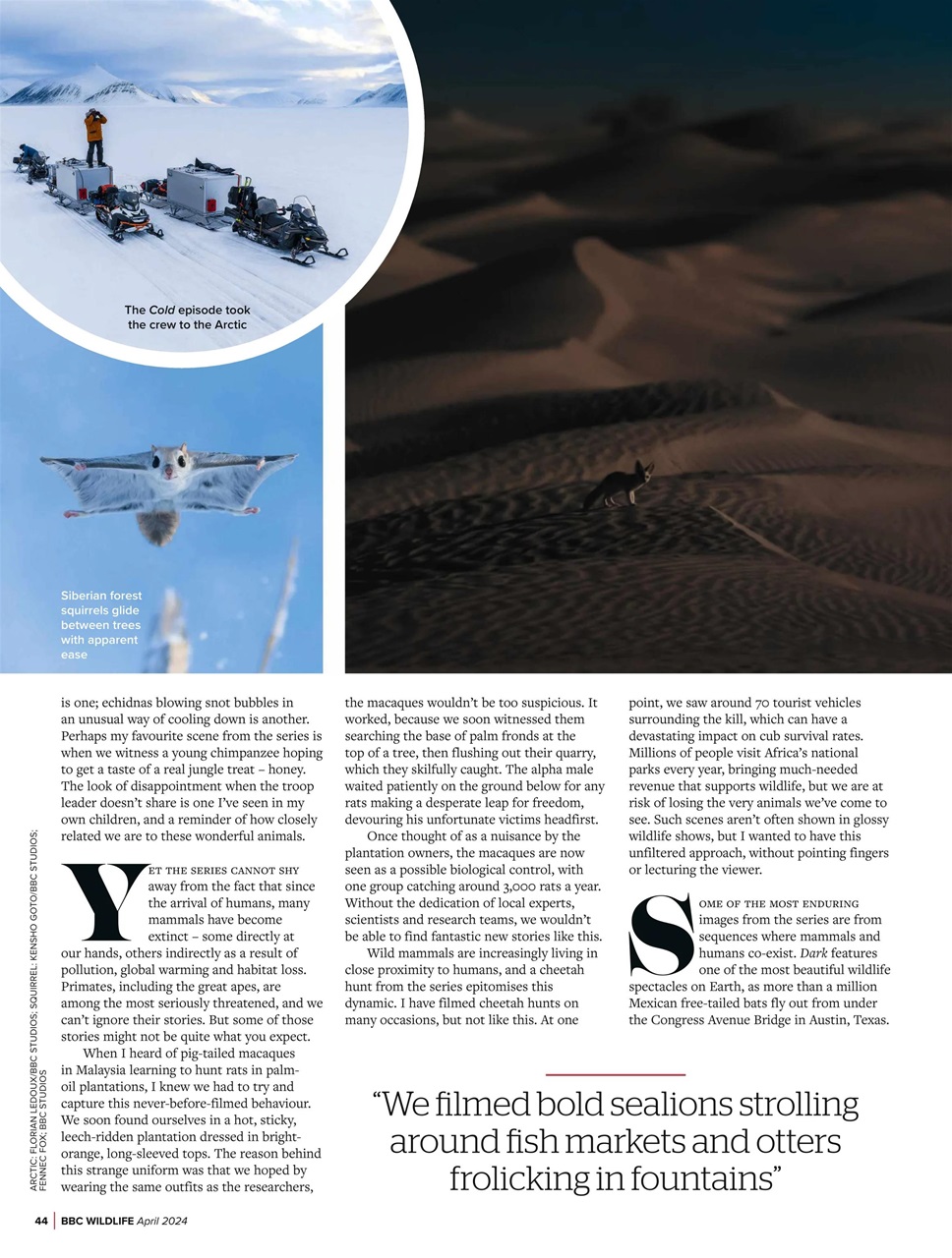 BBC Wildlife Magazine Preview Pages