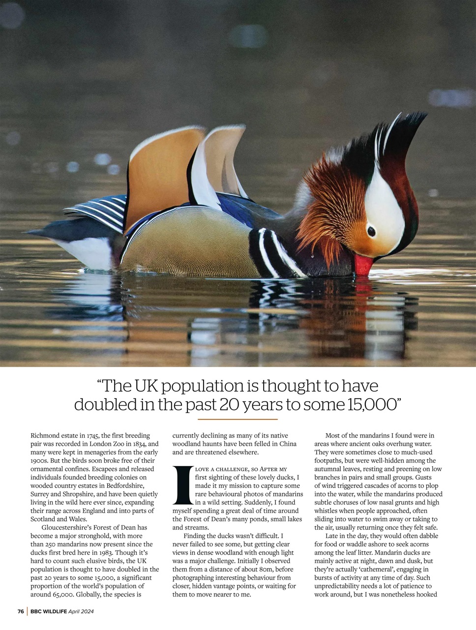 BBC Wildlife Magazine Preview Pages