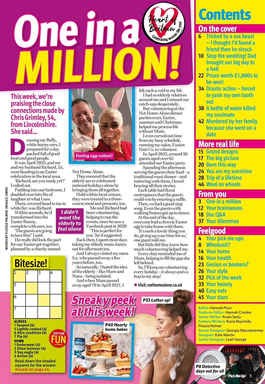 Pick Me Up Preview Pages