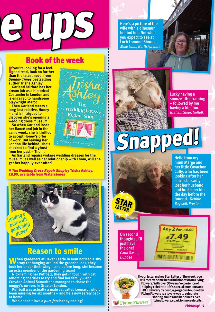 Pick Me Up Preview Pages