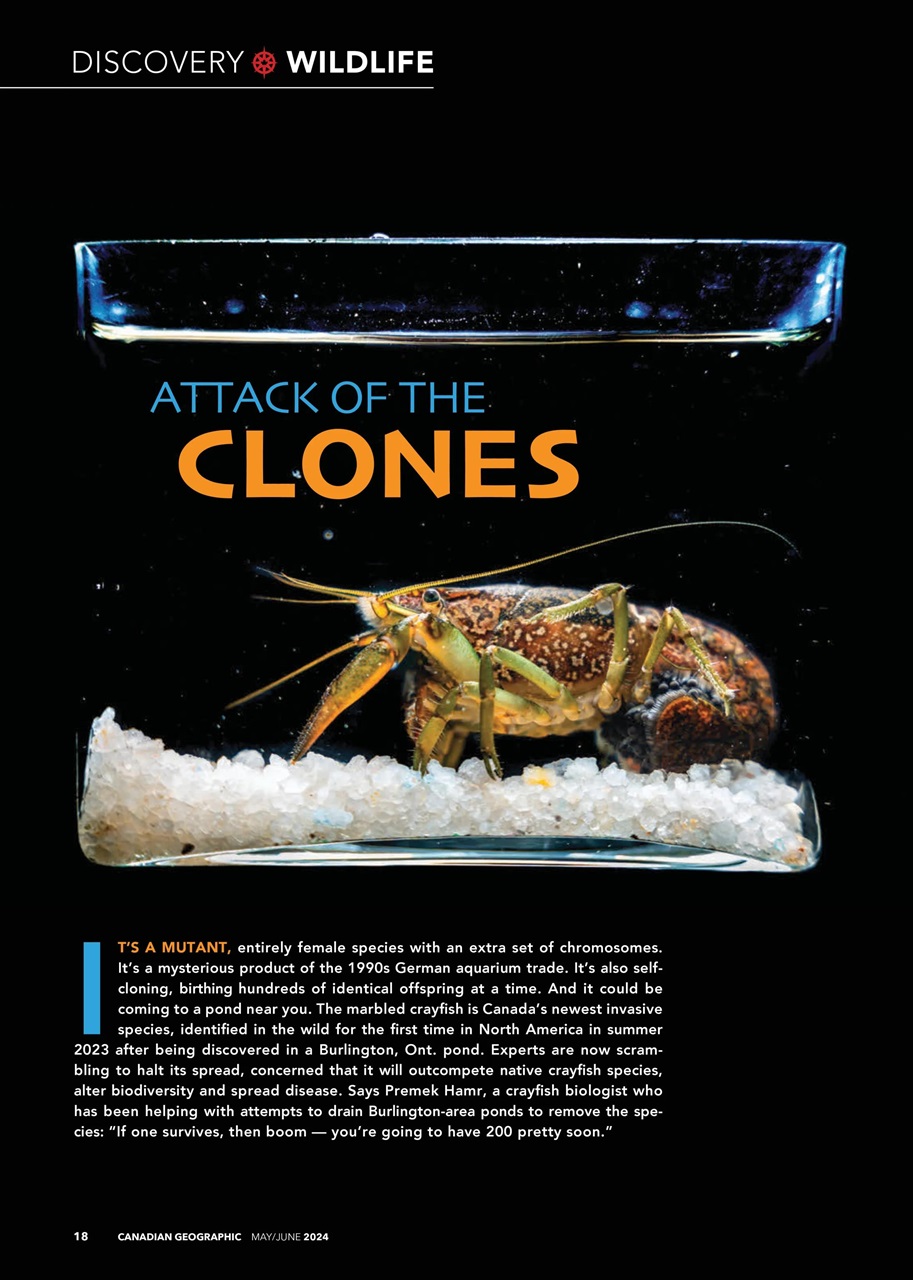 Canadian Geographic Preview Pages