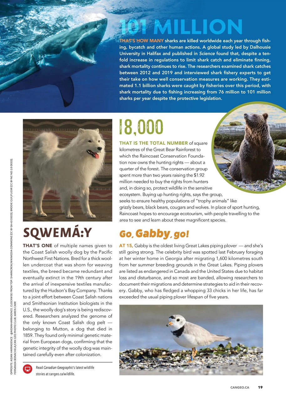Canadian Geographic Preview Pages