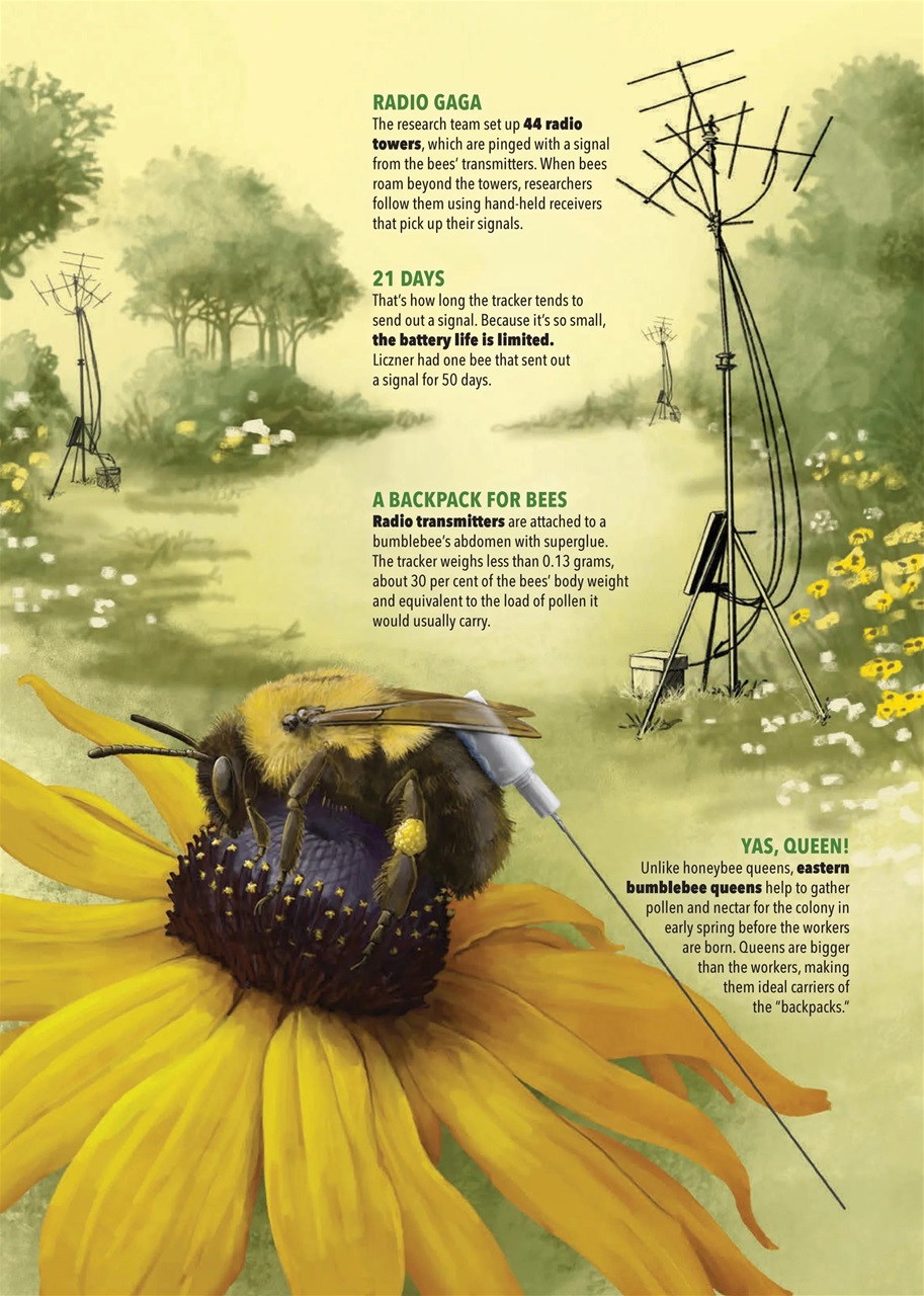 Canadian Geographic Preview Pages