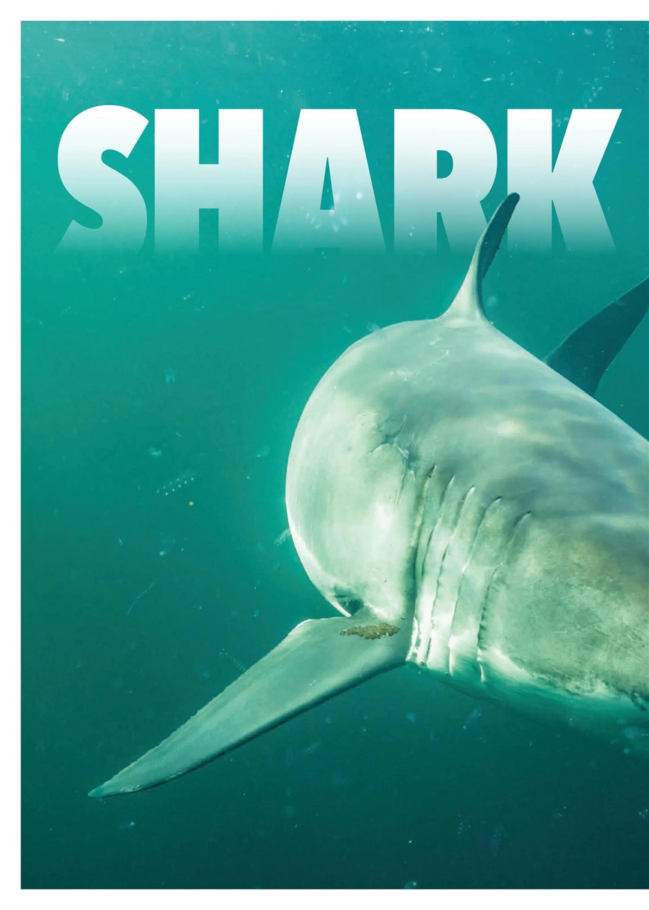 Canadian Geographic Preview Pages