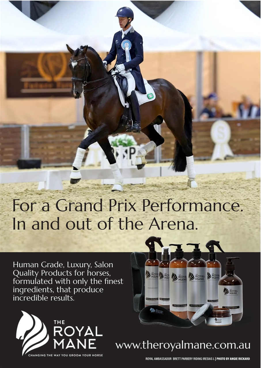 HorseWyse Magazine Preview Pages