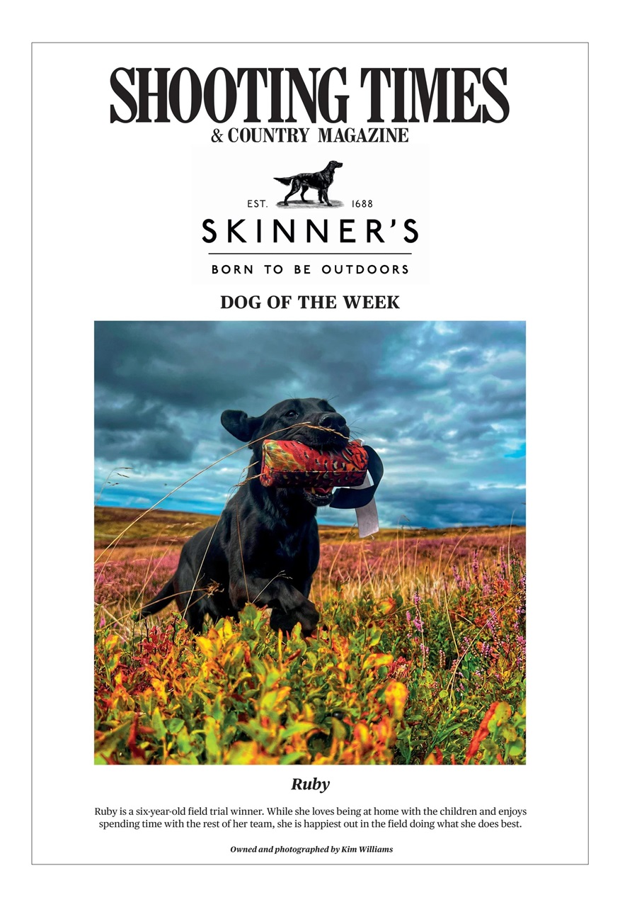 Shooting Times & Country Preview Pages