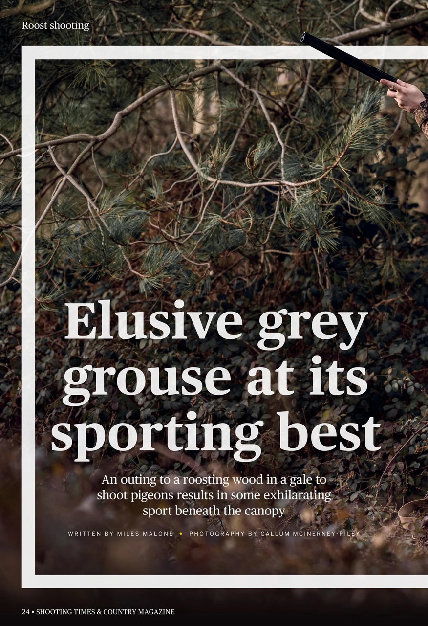 Shooting Times & Country Preview Pages