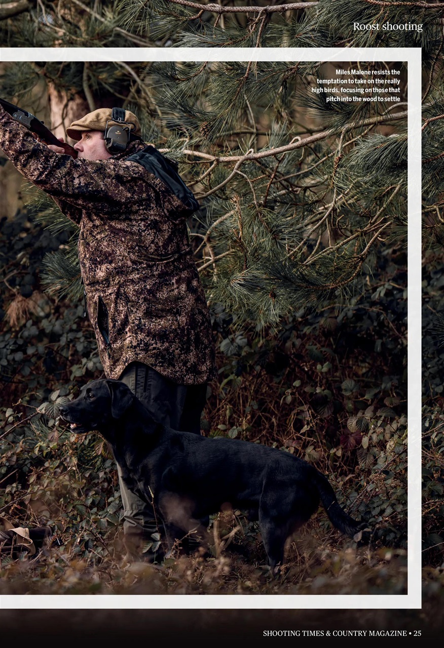 Shooting Times & Country Preview Pages