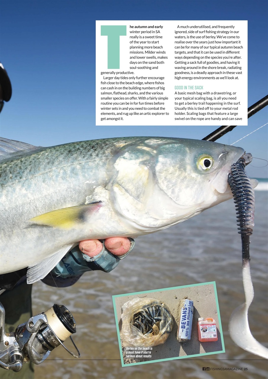 Fishing SA Preview Pages