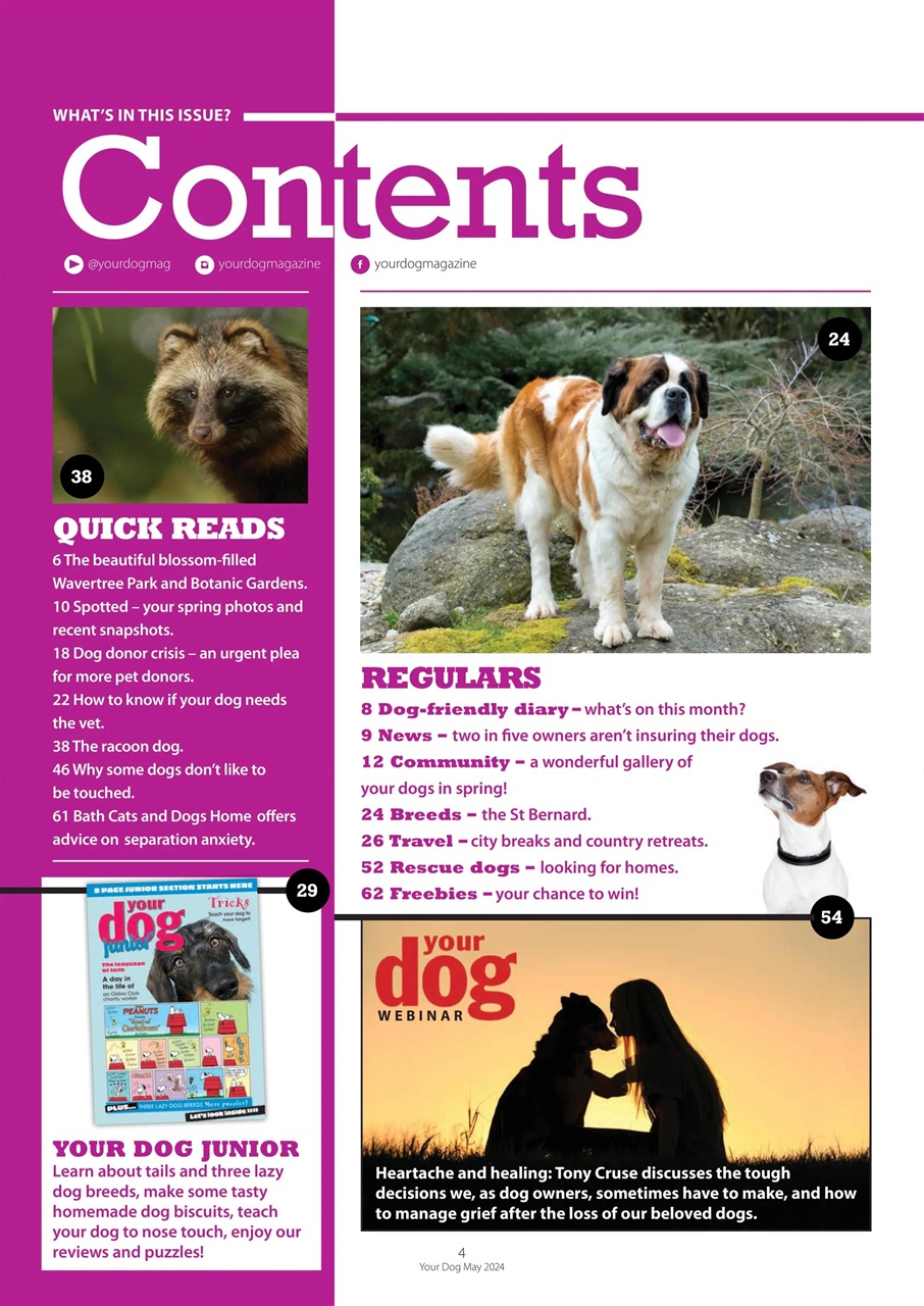 Your Dog Preview Pages