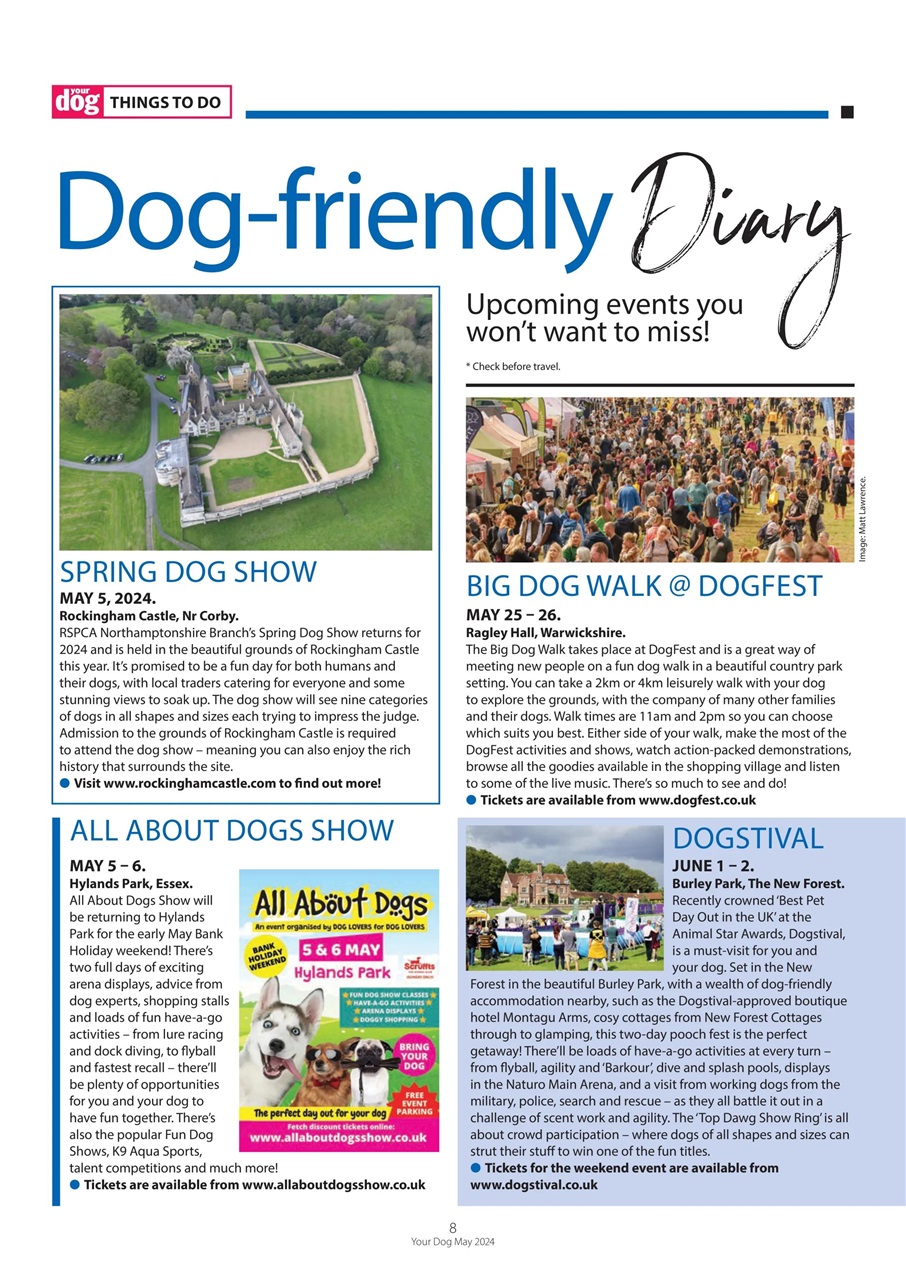 Your Dog Preview Pages