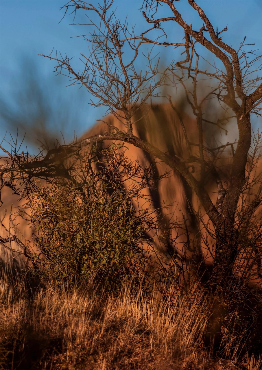 Blues Matters! Preview Pages