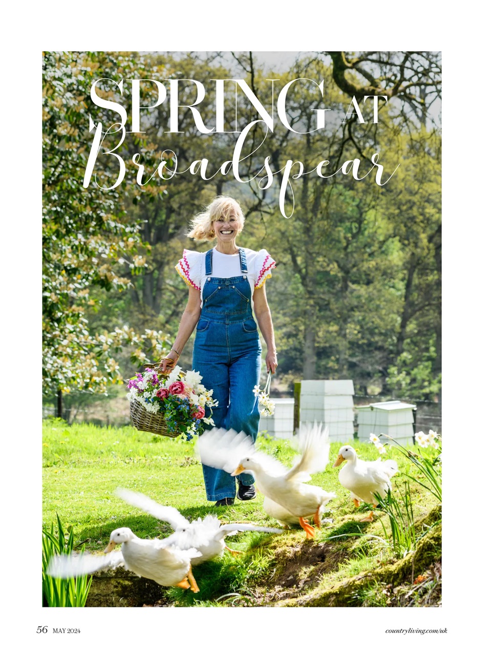 Country Living Preview Pages