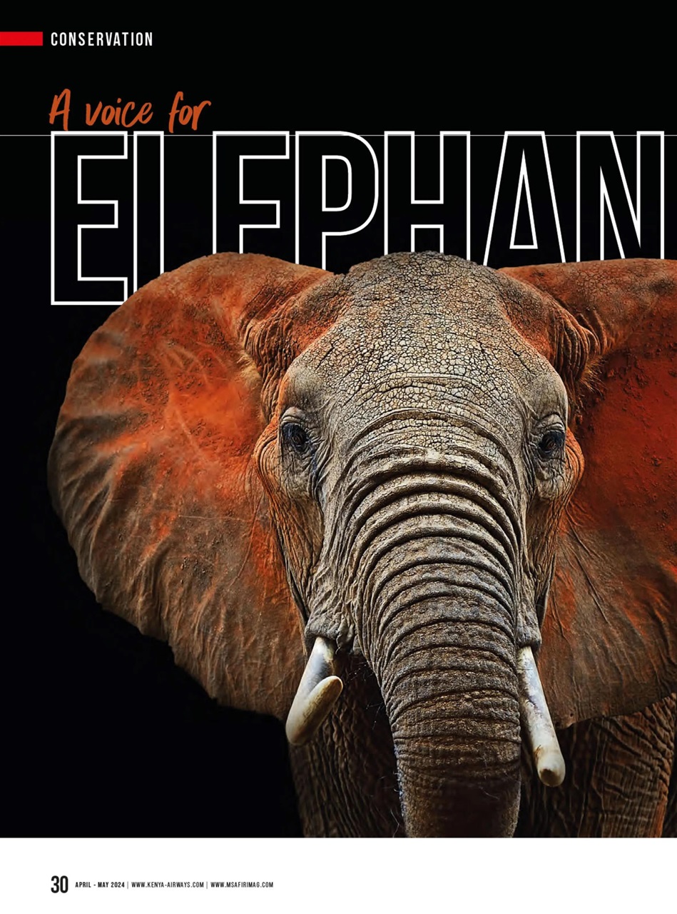 MSAFIRI – Kenya Airways Inflight Preview Pages