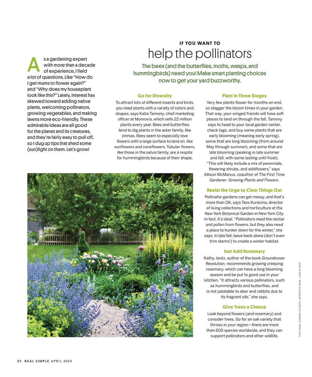 Real Simple Preview Pages