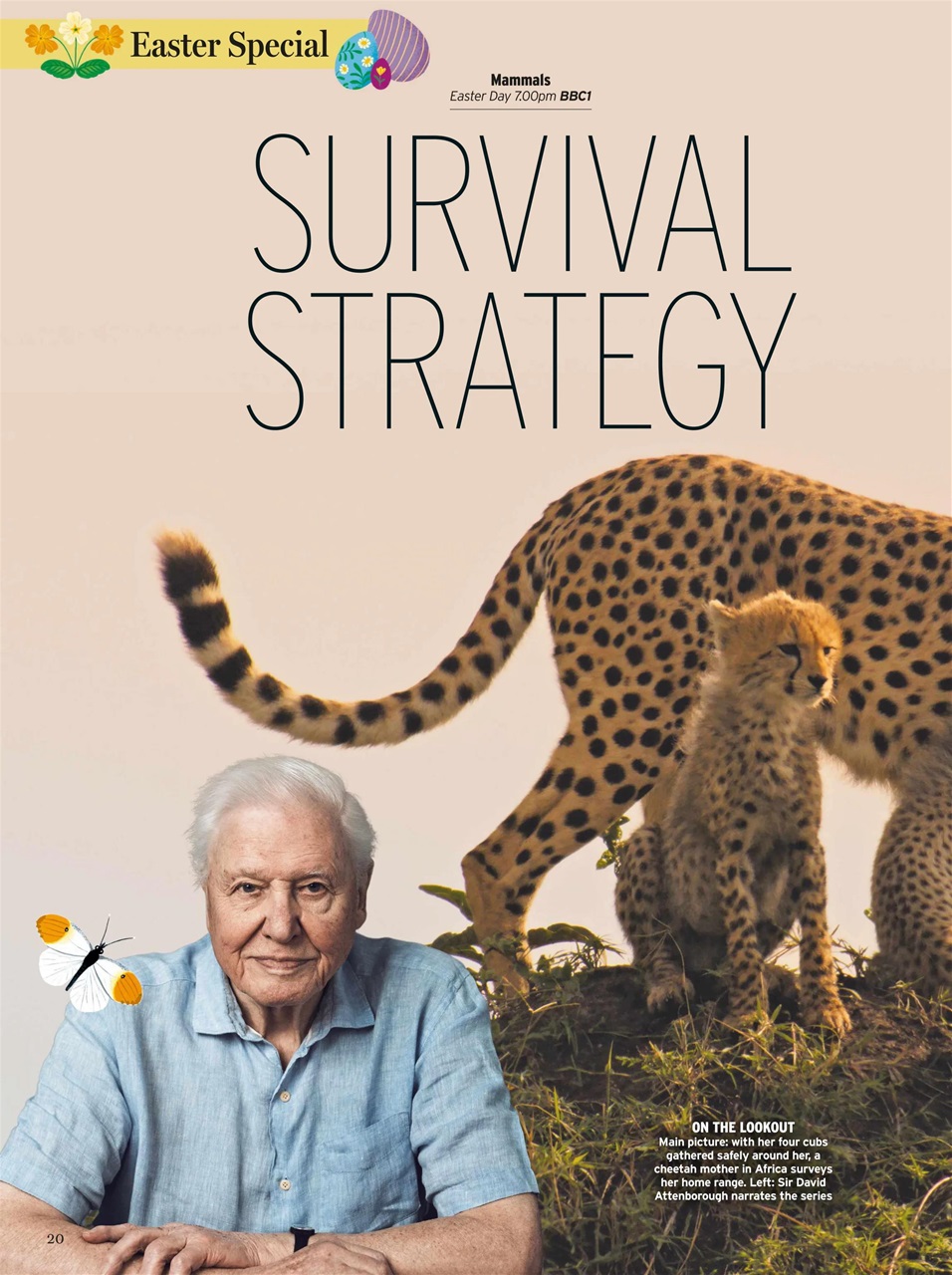 Radio Times Preview Pages