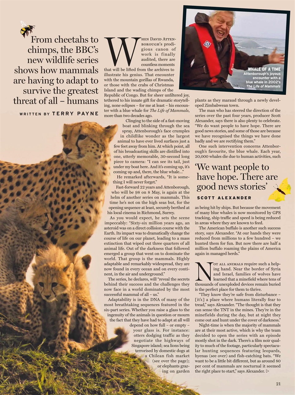 Radio Times Preview Pages