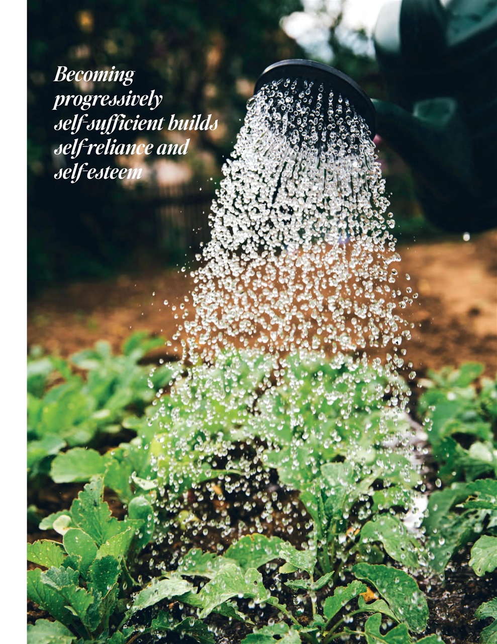 Gather Preview Pages