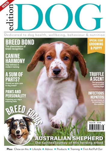 Edition Dog issue 