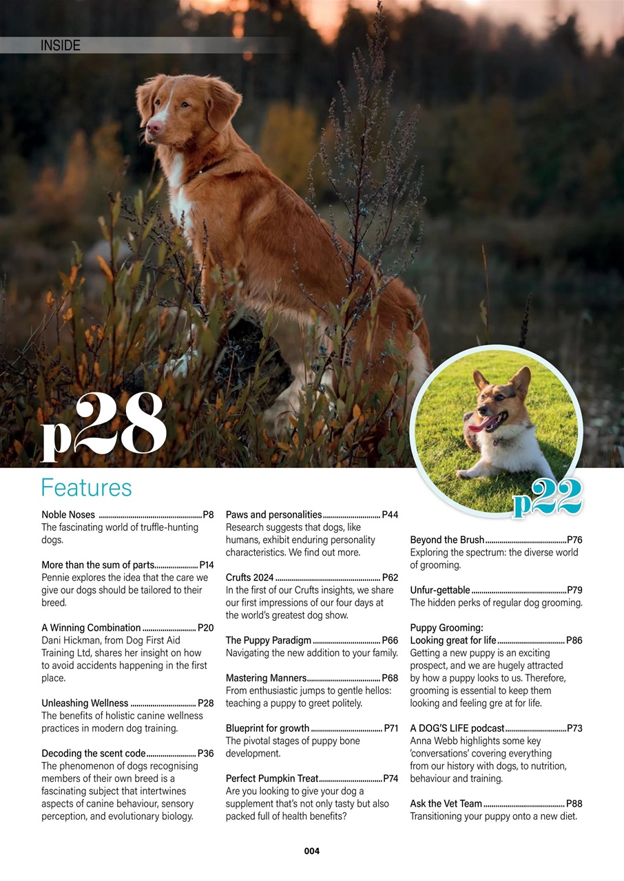 Edition Dog Preview Pages