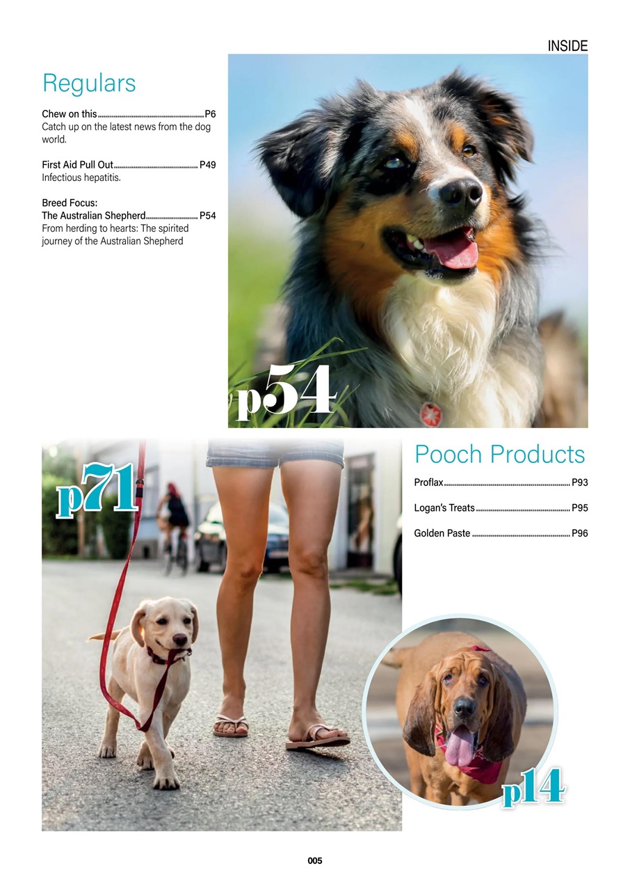 Edition Dog Preview Pages