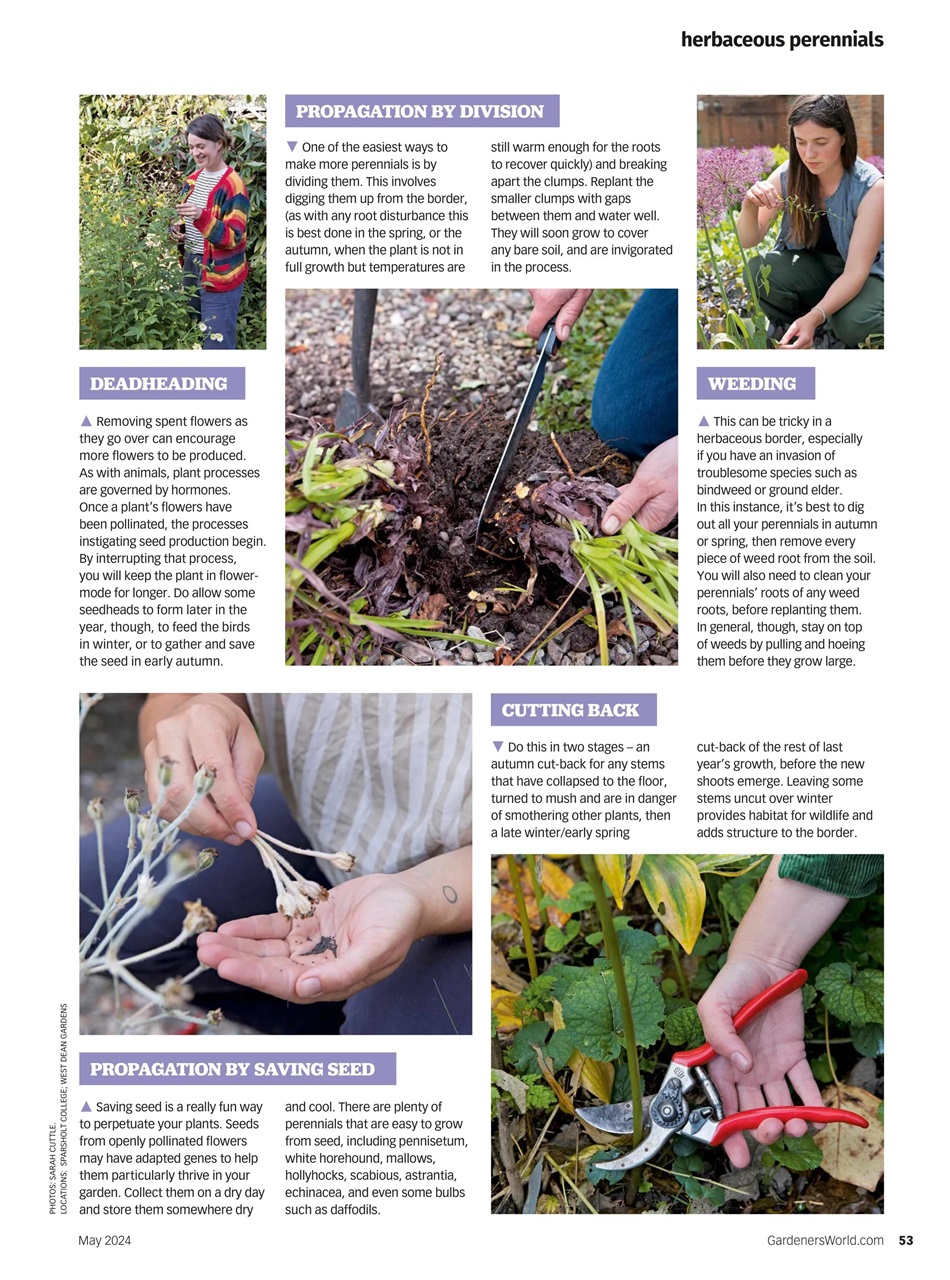 BBC Gardeners’ World Magazine May 2024 Back Issue